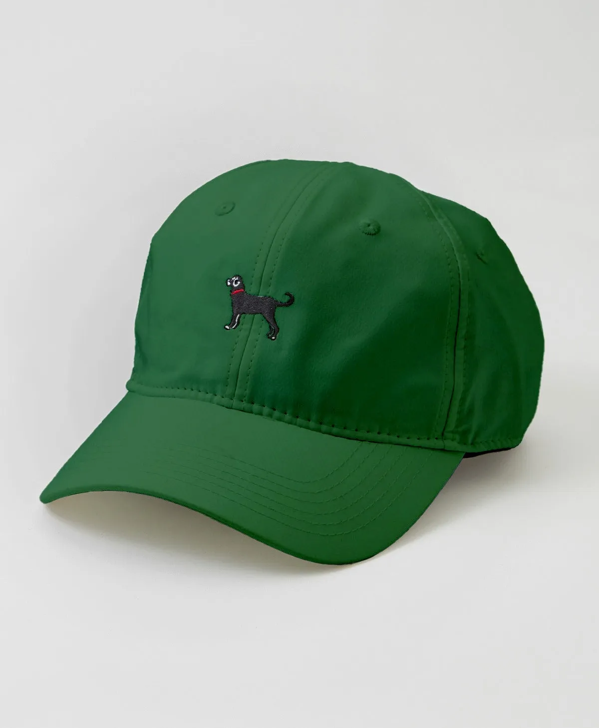 Adult Classic Performance Hat