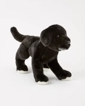 Classic Black Dog Puppy