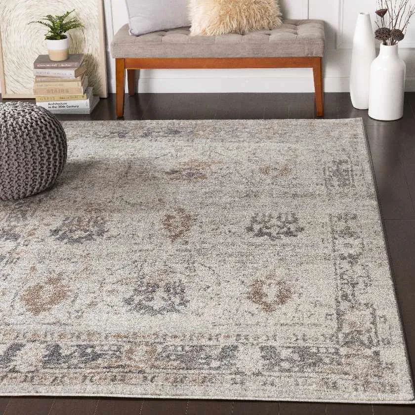 Prudpal Updated Traditional Area Rug