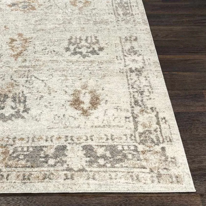 Prudpal Updated Traditional Area Rug